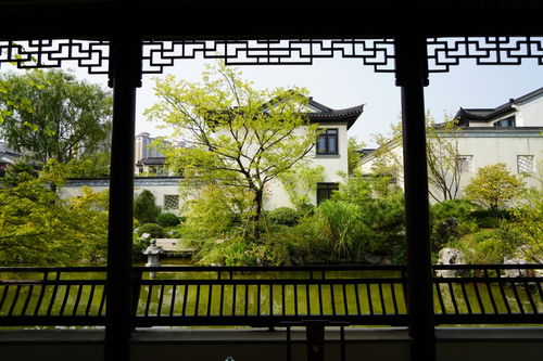 熱烈祝賀我司六個項目榮獲2019年度杭州市優(yōu)秀園林綠化工程金獎